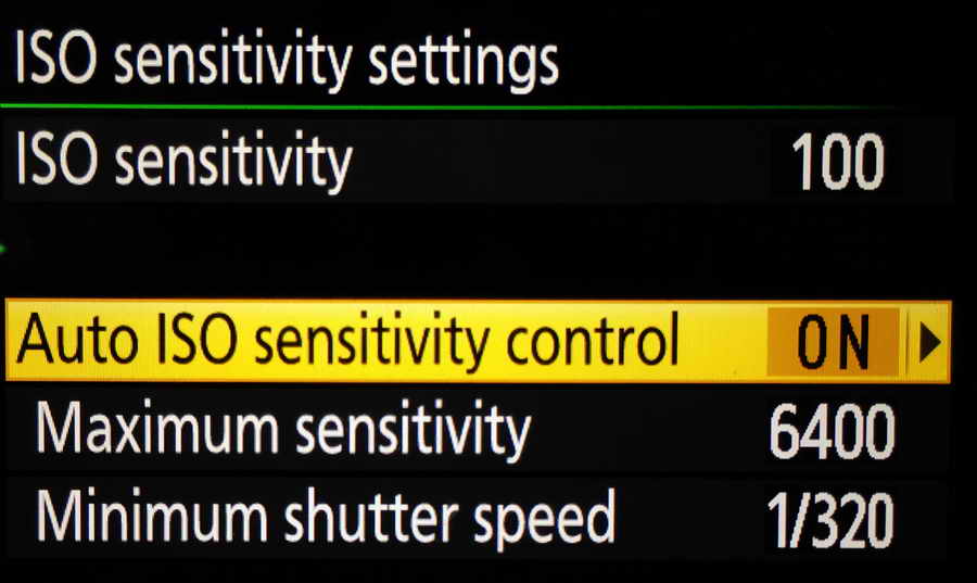 Nikon Auto ISO Settings