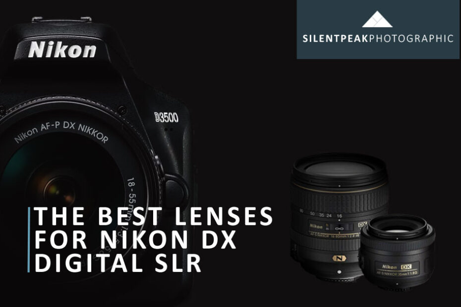 Best Nikon Lens for Nikon D