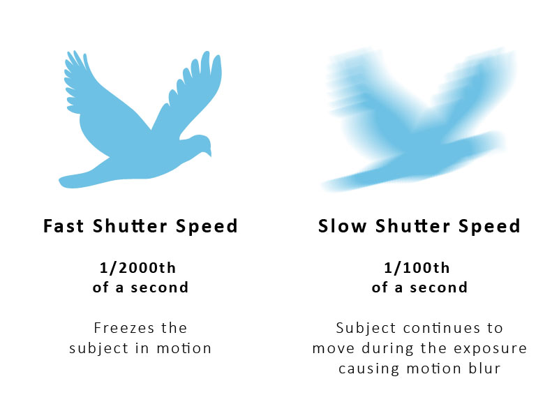 Using faster shutter speeds for sharper photos