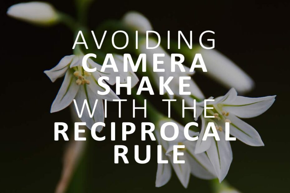 How to prevent camera shake with the Reciprocal Rule