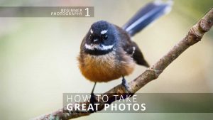 How to take good photos
