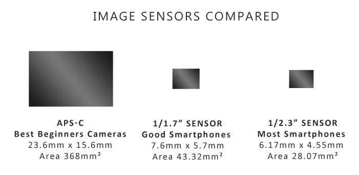 Camera vs Smartphone Sensor