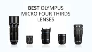 Best MFT Lenses