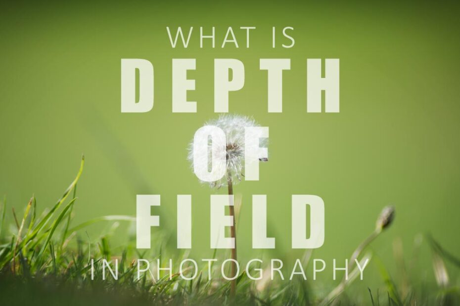 Depth of field in Photography