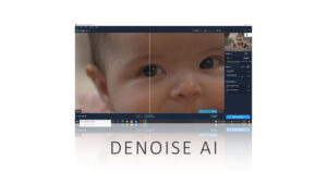 Topaz Denoise AI Review