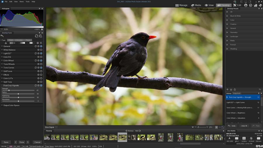 ACDSee Photo Studio Ultimate 2022 Review • Silent Peak Photo