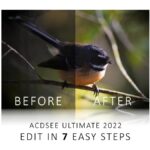 how to edit a photo in acdsee ultimate 2022