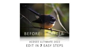 how to edit a photo in acdsee ultimate 2022