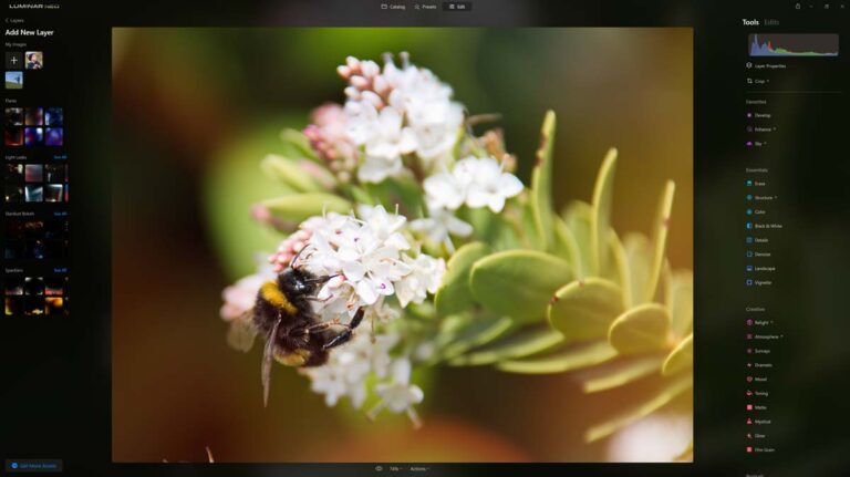 Luminar Neo 1.14.1.12230 download the last version for mac