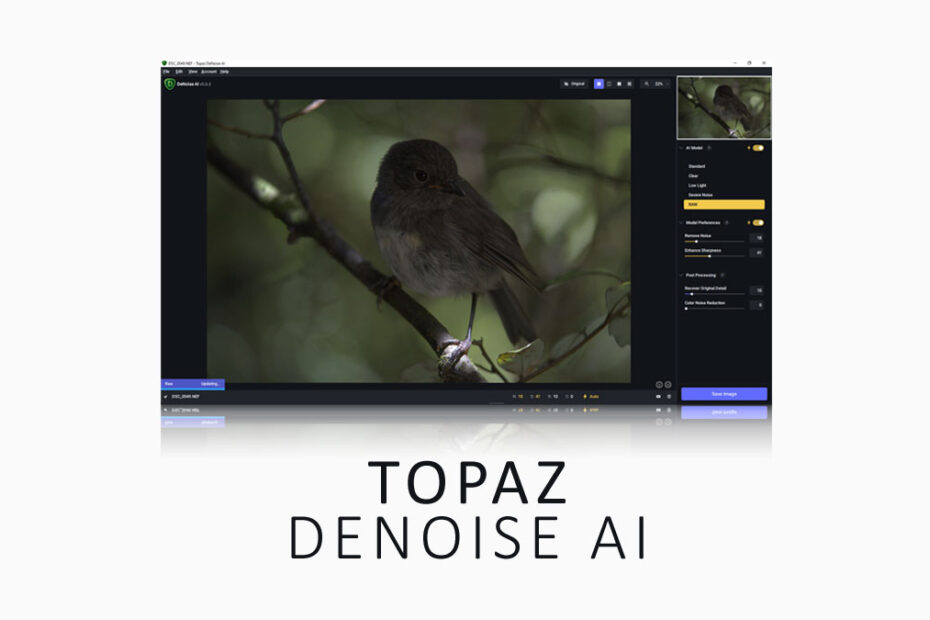 Topaz Denoise AI Photo Denoiser