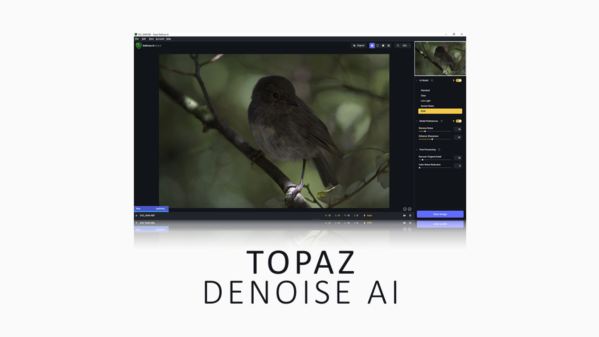Topaz Denoise AI Photo Denoiser