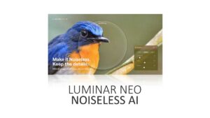 Noiseless AI in Luminar Neo