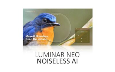 Noiseless AI in Luminar Neo