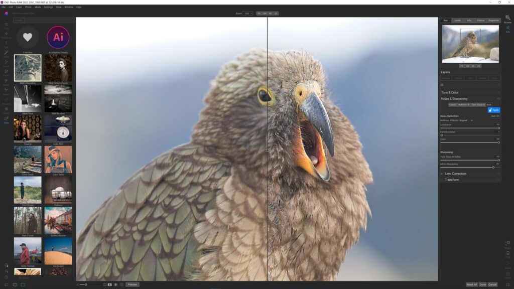 AI Sharpening a photo with ON1 Photo Raw 2023