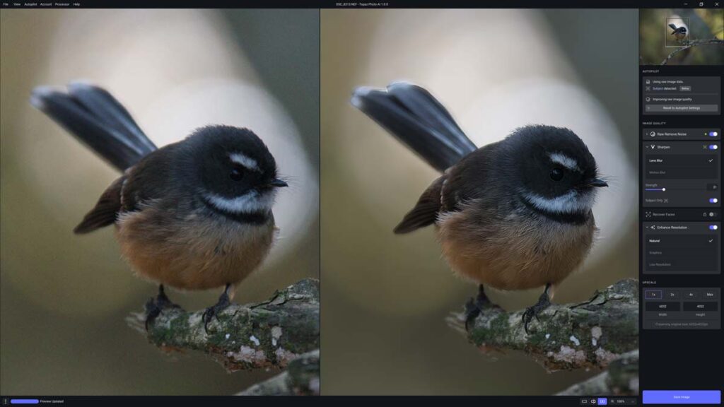 Topaz Photo AI Before and After