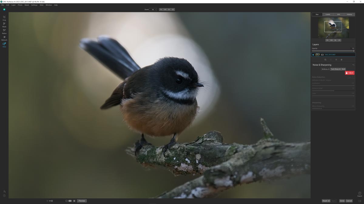 Best Noise Reduction Software 2024 8 Denoisers Ranked