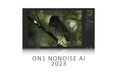 ON1 NoNoise AI Review