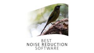 Best Noise Reduction Software tested