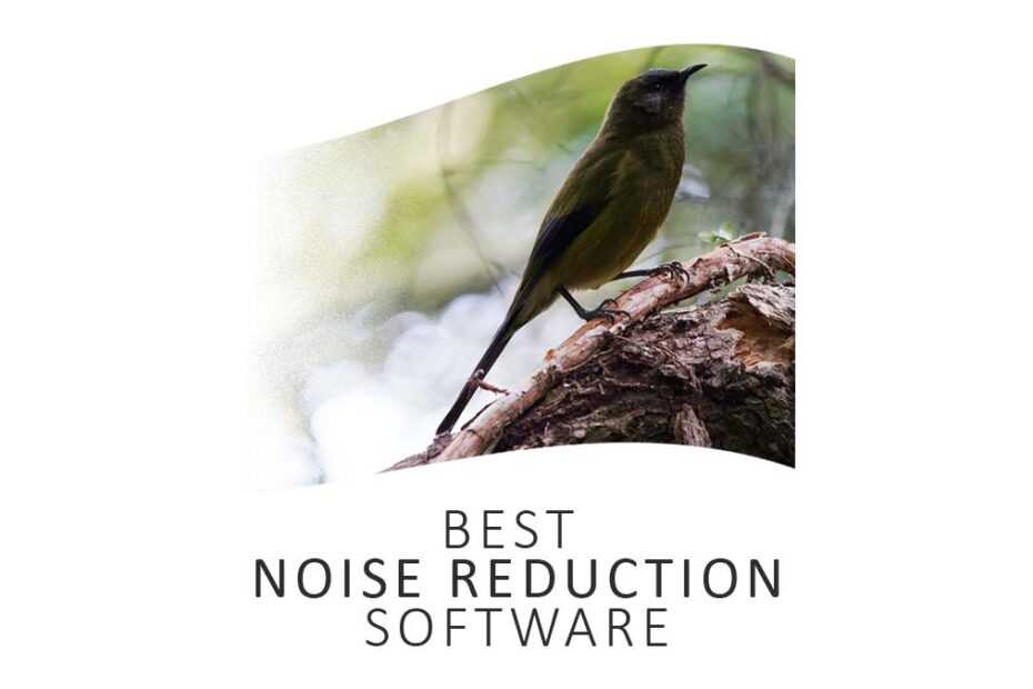 Best Noise Reduction Software tested