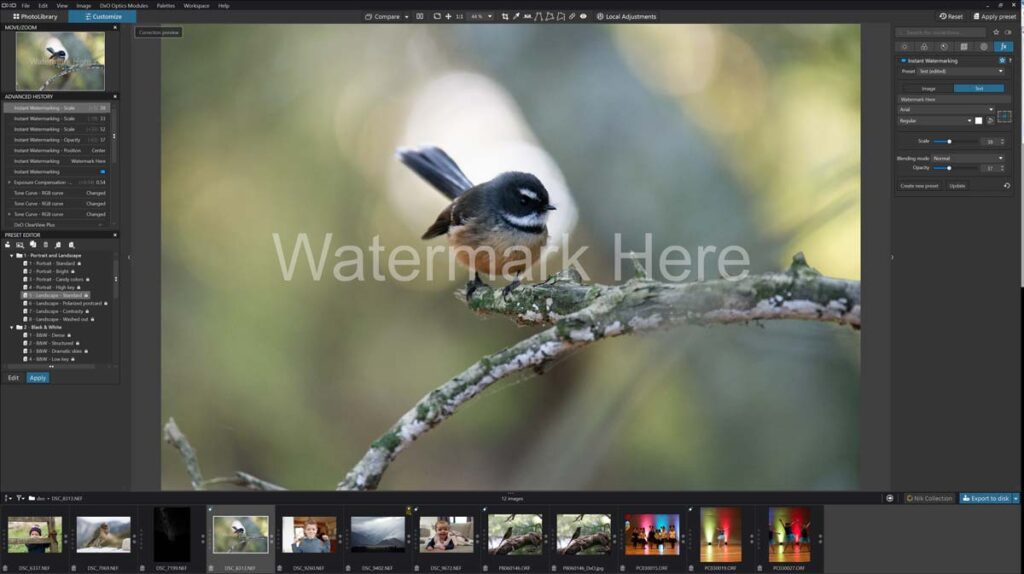 DxO PhotoLab 6 Watermark tool