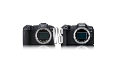 Canon RP vs Canon R8