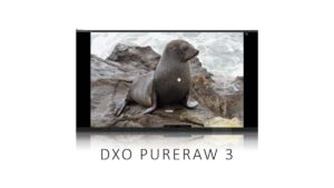 DxO PureRaw 3 Review