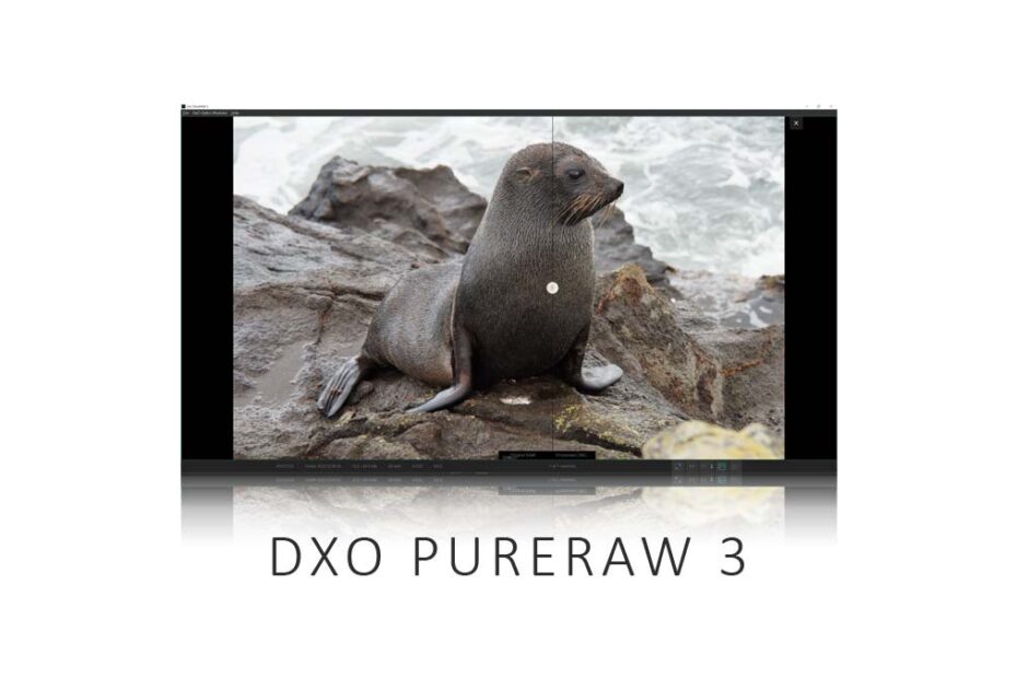 DxO PureRaw 3 Review