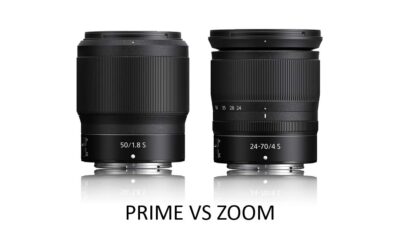 Prime vs Zoom