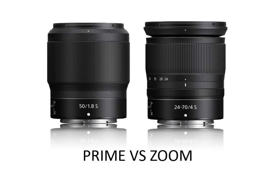 Prime vs Zoom