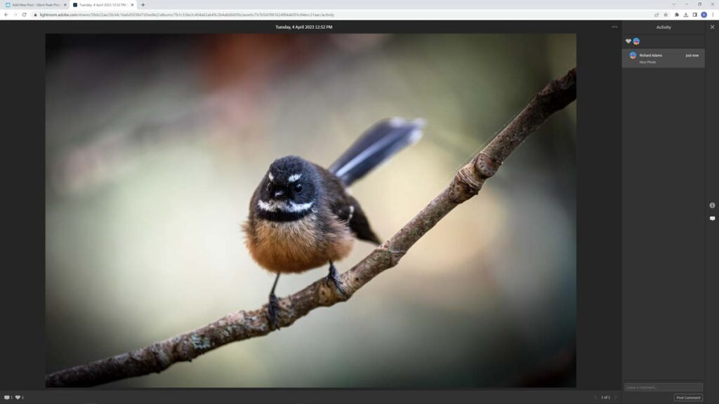 Sharing an image with Adobe Lightroom