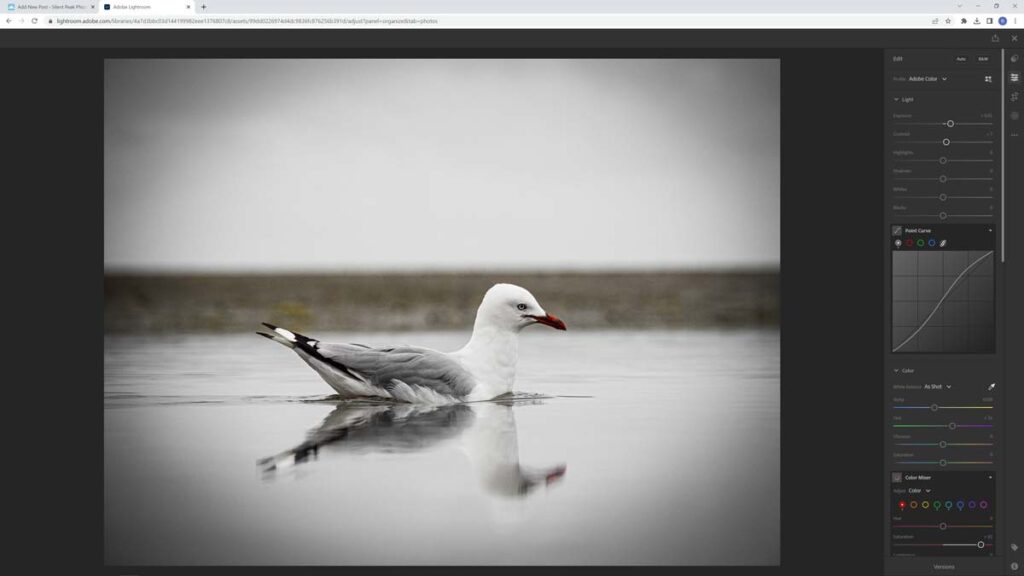 Editing a photo using the Lightroom web client