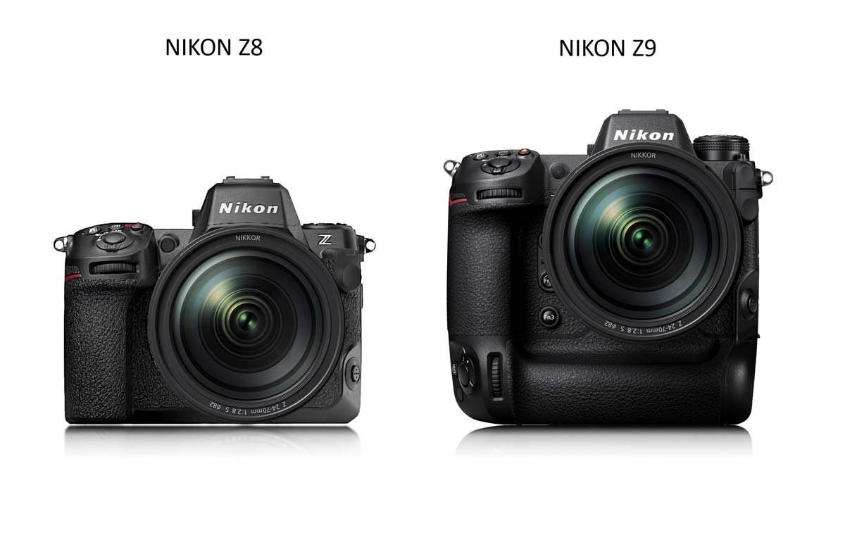 Nikon Z8 Compared A Baby Z9?