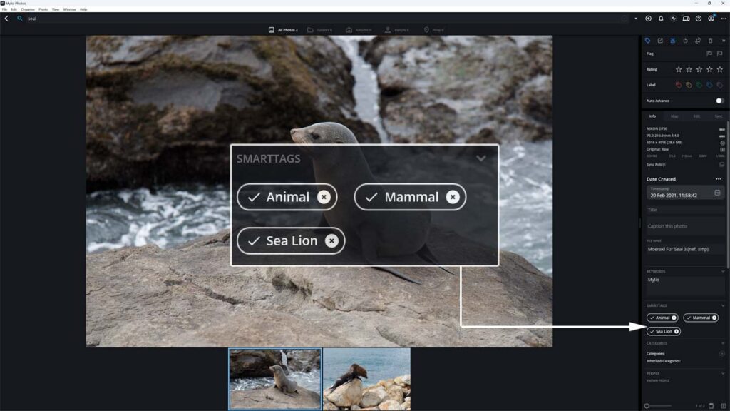 Using Smart Tags in Mylio Photos