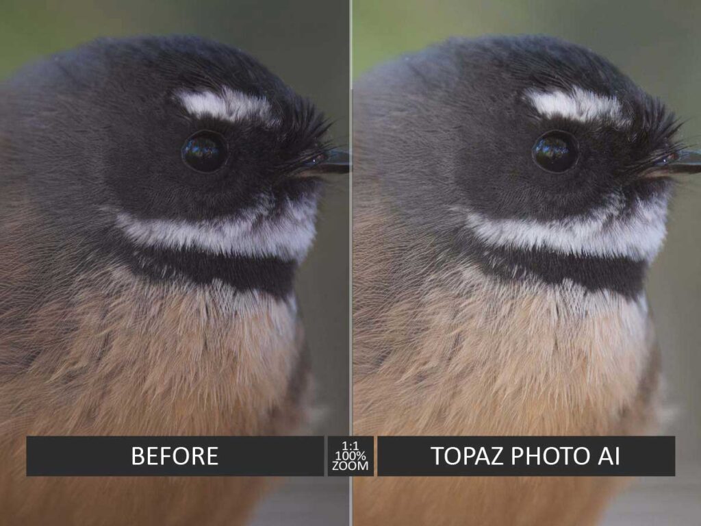 A sample of a photo brightened in Topaz Photo AI