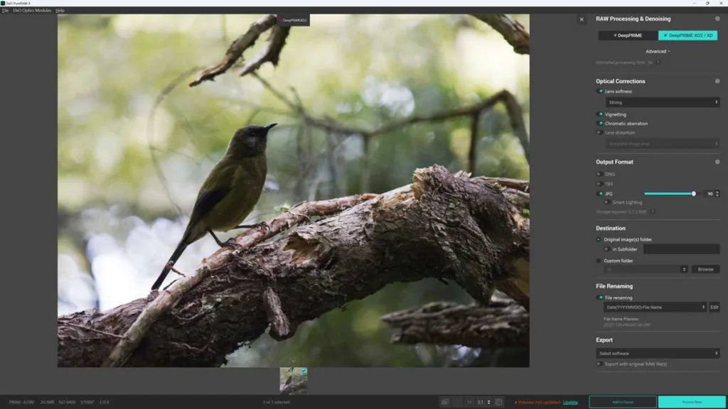Process in Preview mode in DxO PureRaw 4