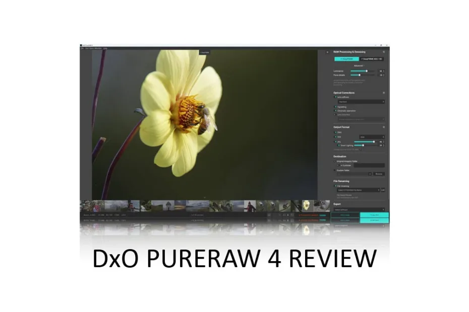 DxO PureRaw 4 Review cover image
