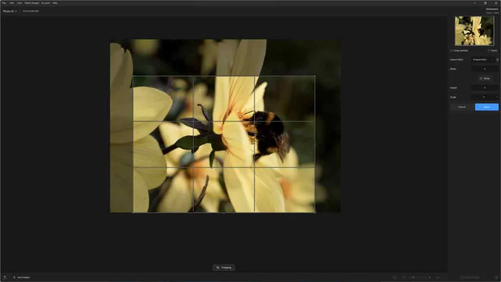 Cropping a Photo in Topaz Photo AI 3
