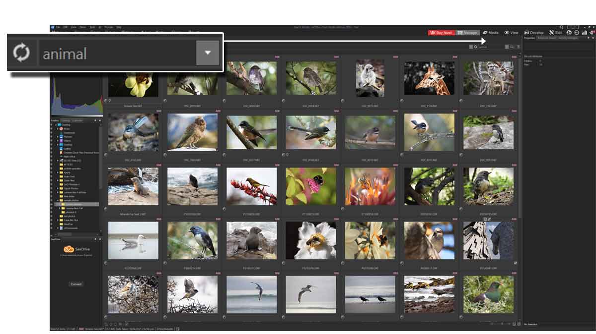 ACDSee Ultimate 2025 Review Now with AI Upscaling