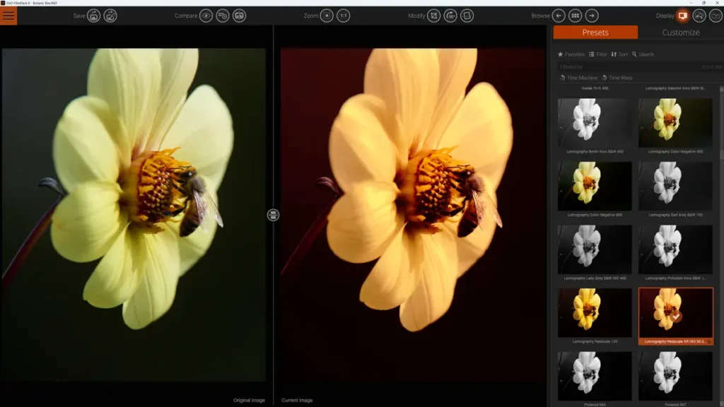 Comparing before and after images in DxO FilmPack 8
