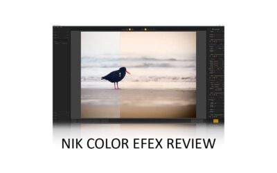 color efex review