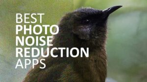 Best Noise Reduction Software Applications