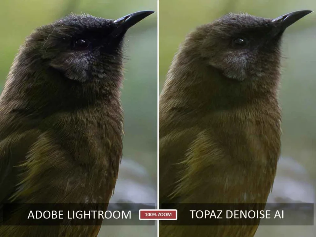 Lightroom vs Topaz Denoise AI