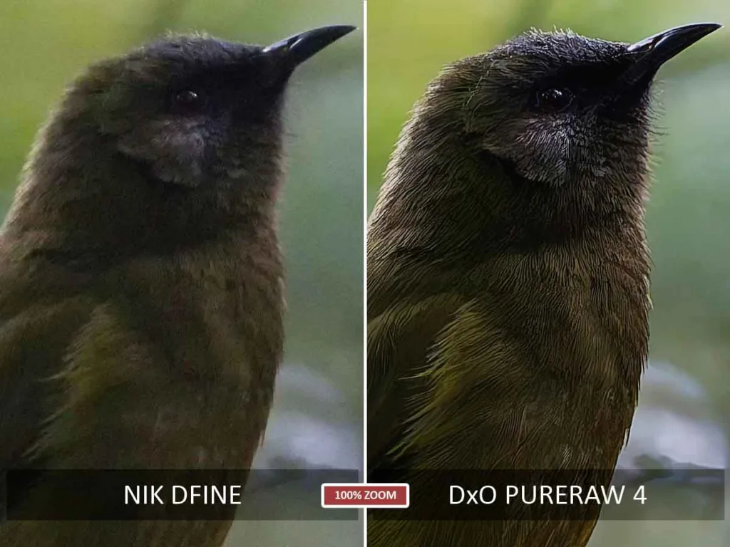 Nik Dfine vs DxO PureRaw before and after noise reduction test