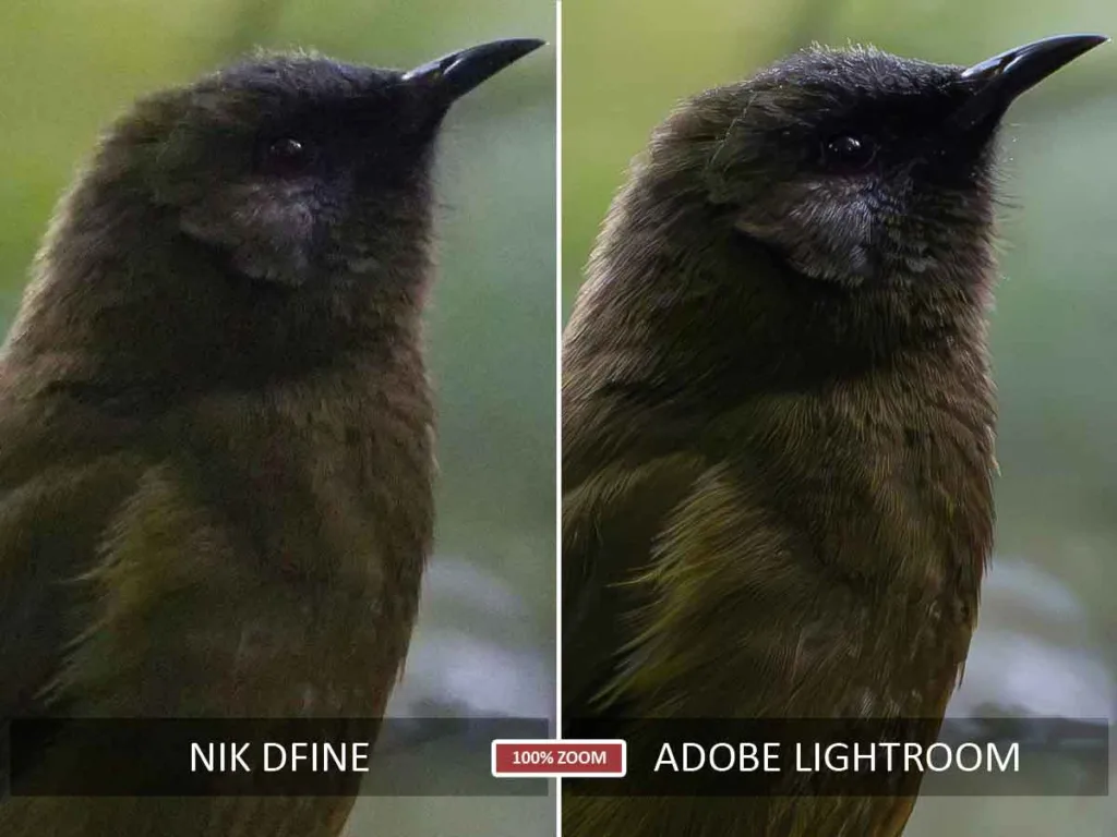 Nik Dfine vs Lightroom before and after noise reduction test