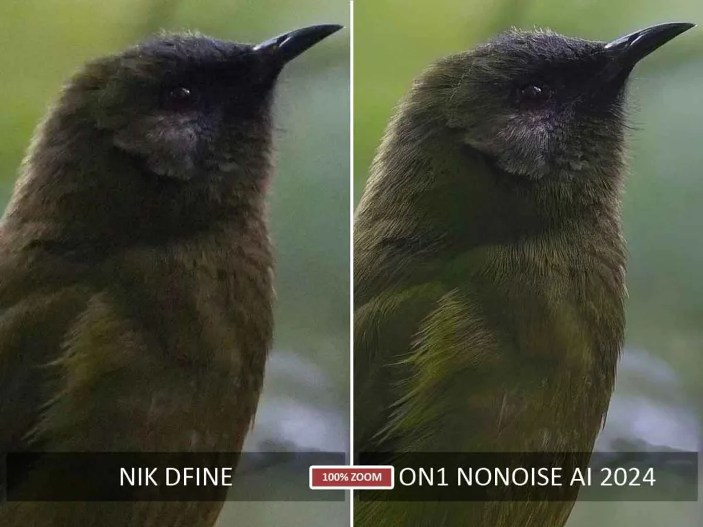 Nik Dfine vs ON1 NoNoise AI before and after noise reduction test
