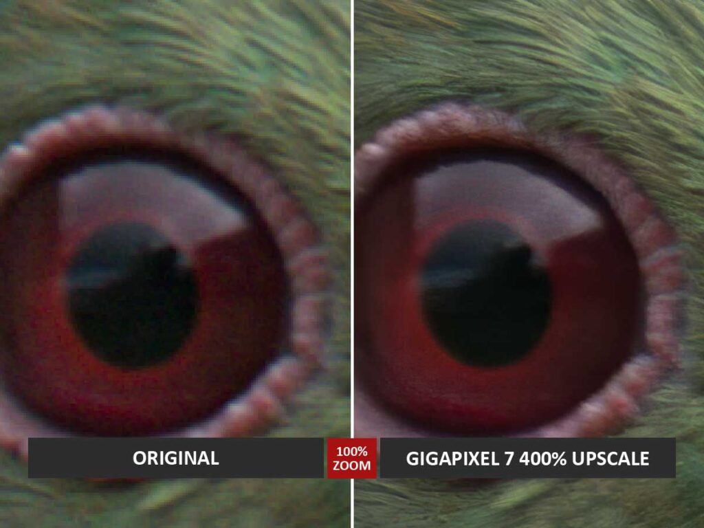 Comparing an original image with one upscaled in Gigapixel