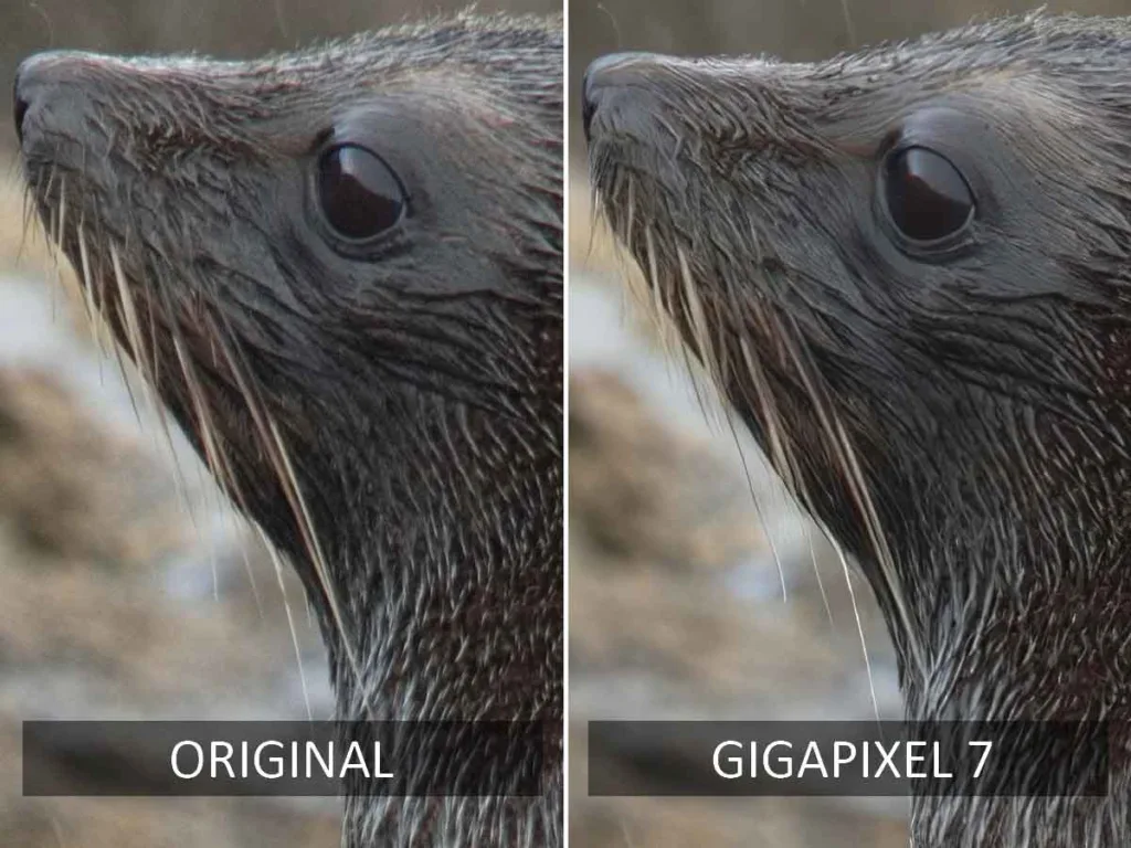 Gigapixel before and After AI upscaling test