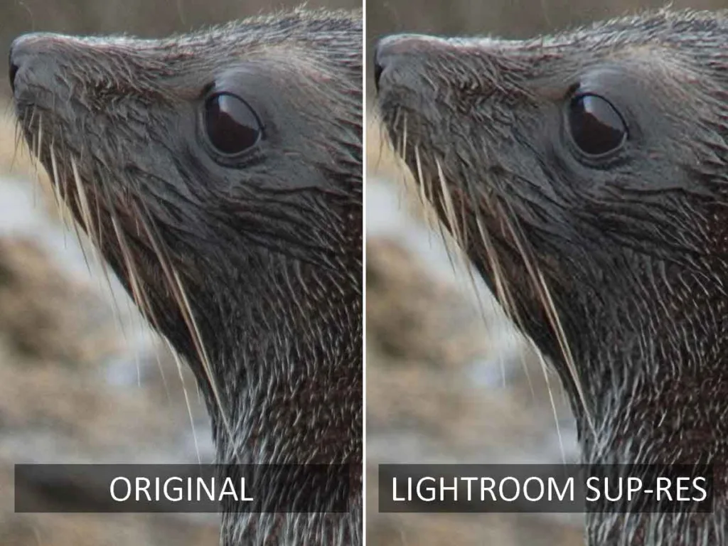 Lightroom before and After AI upscaling test