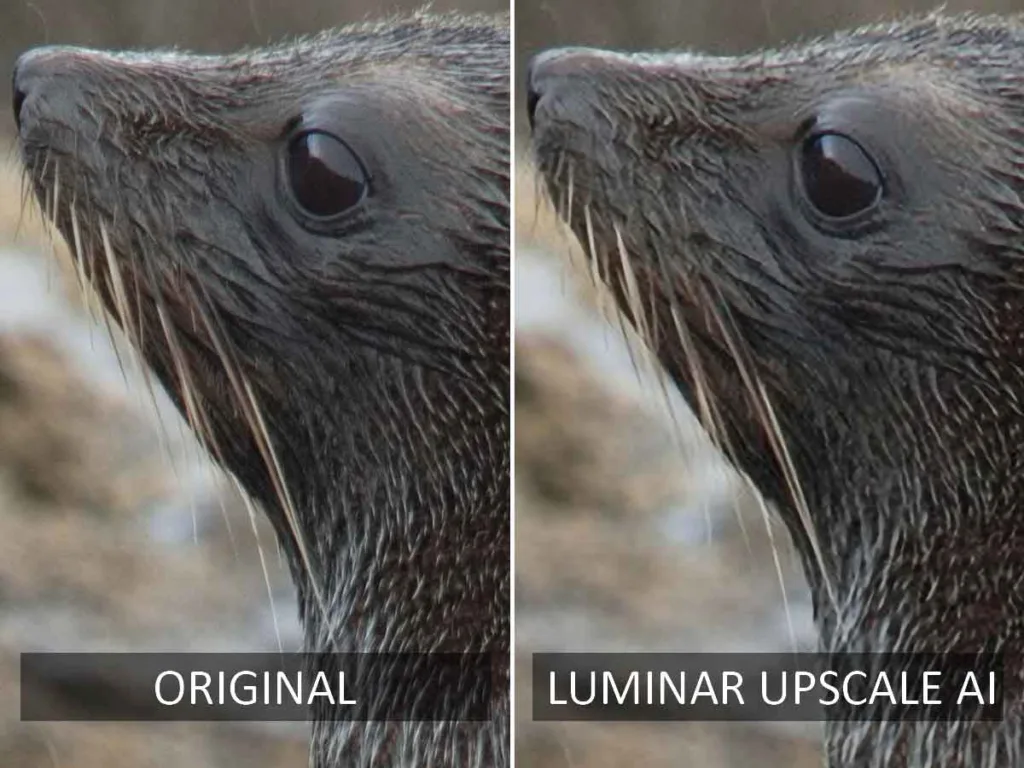 Luminar Upscale AI before and After AI upscaling test