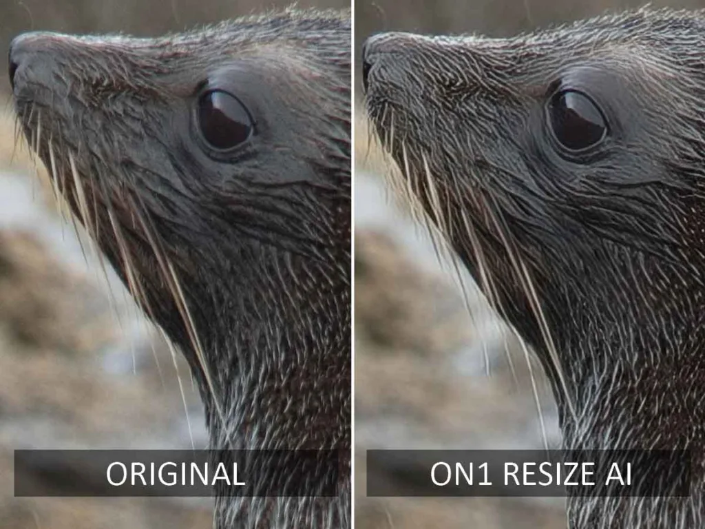 ON1 Resize AI before and After AI upscaling test